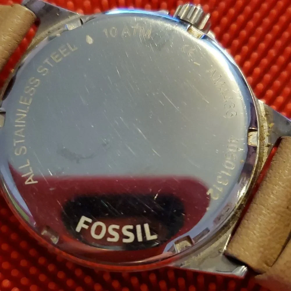 Fossil great pre
